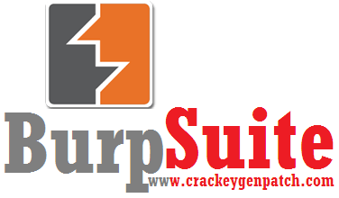 Burp Suite Professional 2024 Crack With License Key Free Download