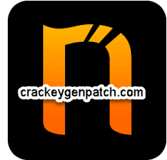 Netsparker Professional Edition 5.8.1 Crack With Keygen 2022